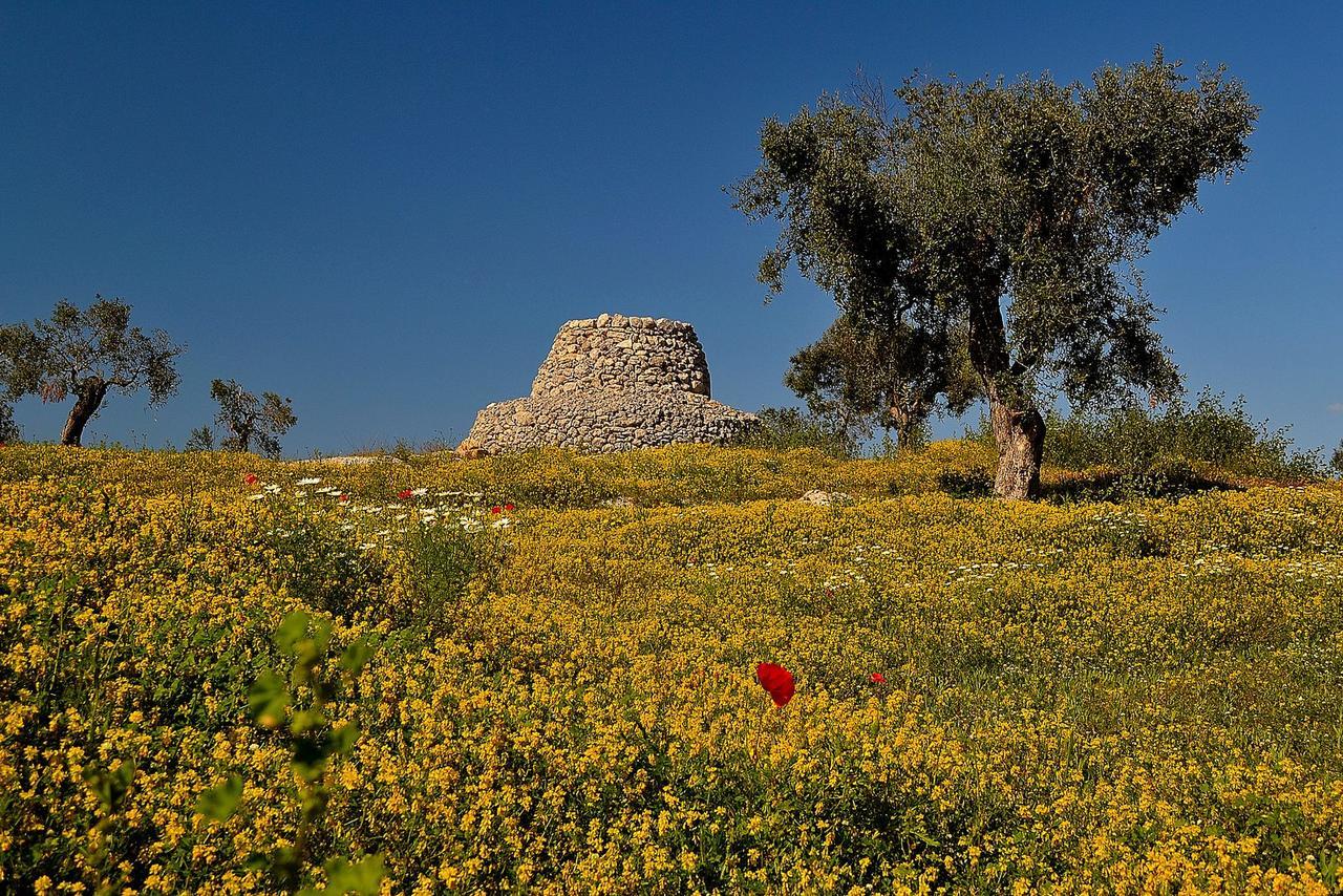 بورتو سيساريو Meraviglie Del Salento المظهر الخارجي الصورة